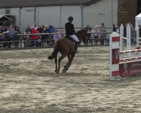 Reitturnier Kamen 2024