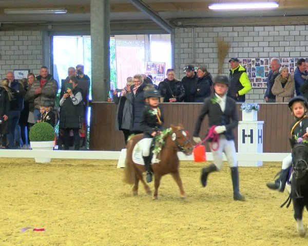 Reitturnier Bottrop-Kirchhellen 2024