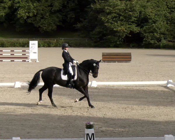 Reitturnier Tübingen 2024