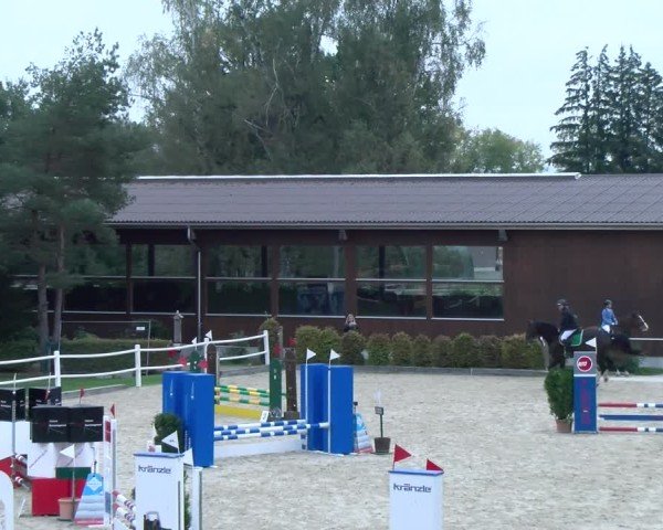 Reitturnier Dielsdorf 2024