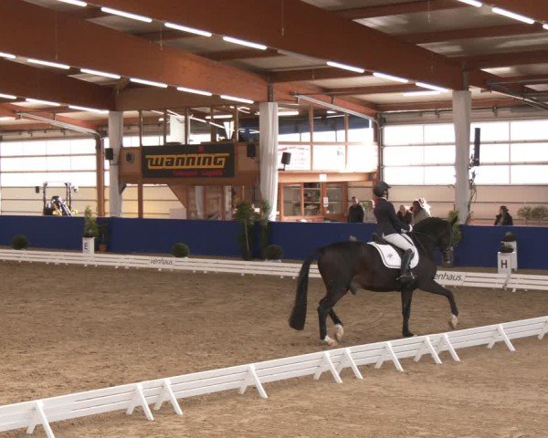 Reitturnier Isterberg 2024