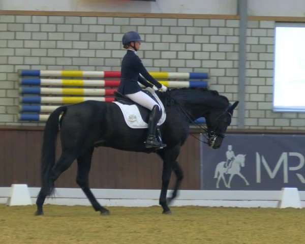 Reitturnier Bottrop-Kirchhellen 2024