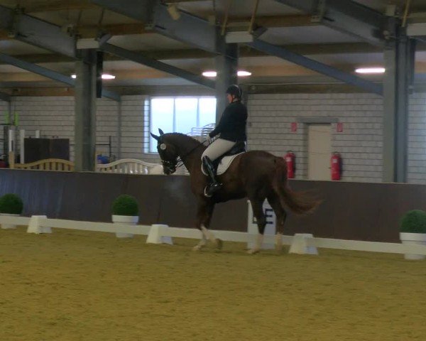 Reitturnier Bottrop-Kirchhellen 2024