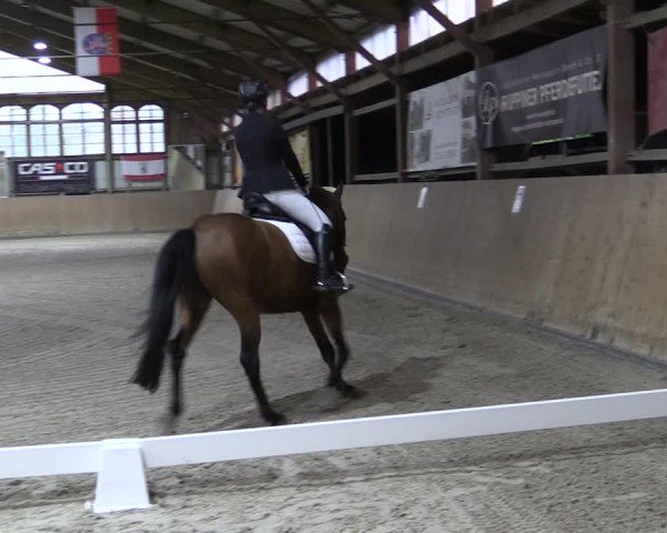 Reitturnier Elisenau 2024