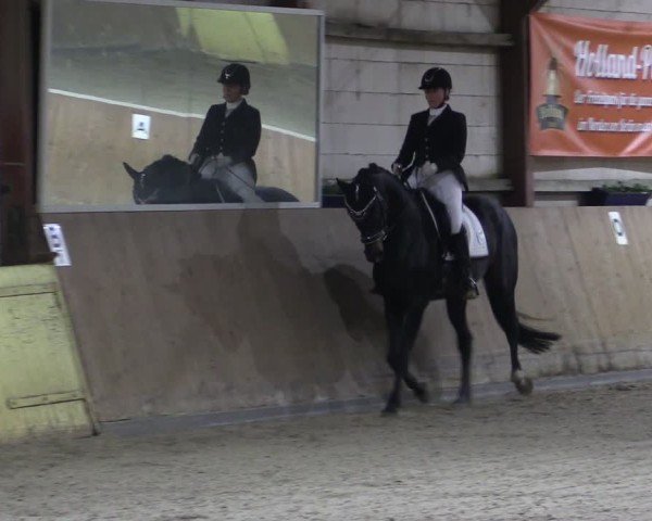 Reitturnier Elisenau 2024