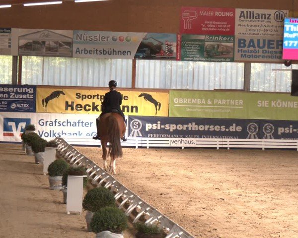 Reitturnier Isterberg 2024