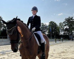 dressage horse Heiline's Donau Rush (Danish Warmblood, 2009)