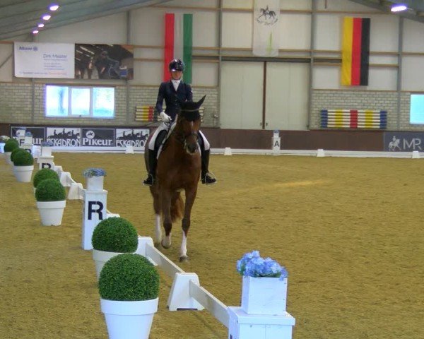 Reitturnier Bottrop-Kirchhellen 2024