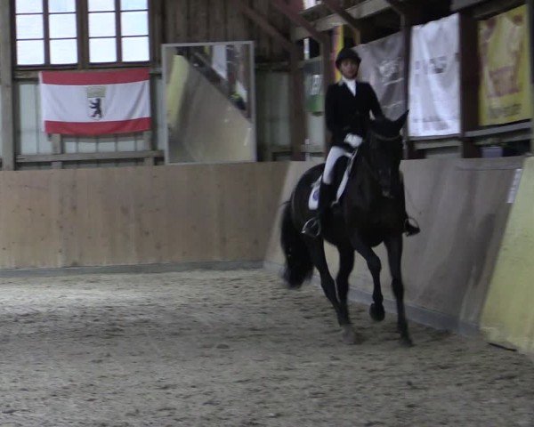 Reitturnier Elisenau 2024