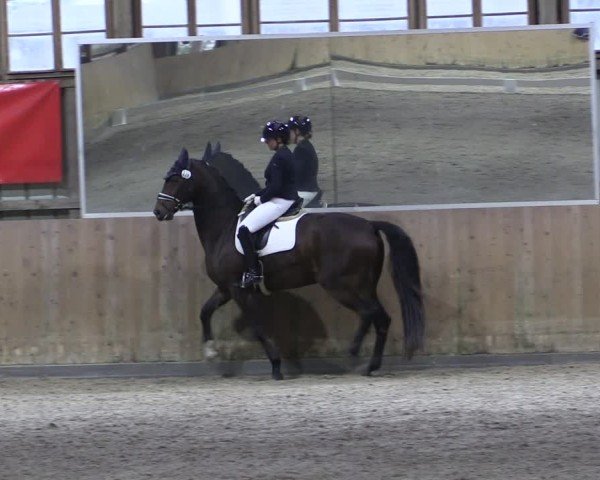 Reitturnier Elisenau 2024