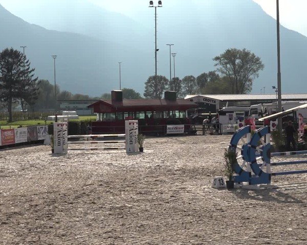 Reitturnier Giubiasco 2024