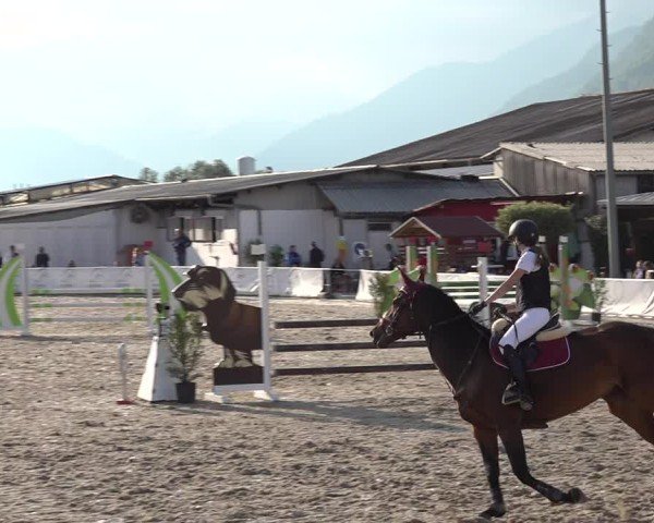 Reitturnier Giubiasco 2024