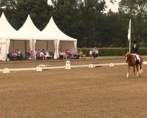 Westfalen-Woche 2013