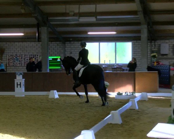 Reitturnier Bottrop-Kirchhellen 2024