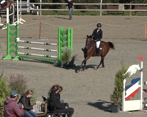 Reitturnier Scharnebeck 2024