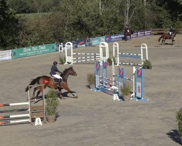 Reitturnier Scharnebeck 2024