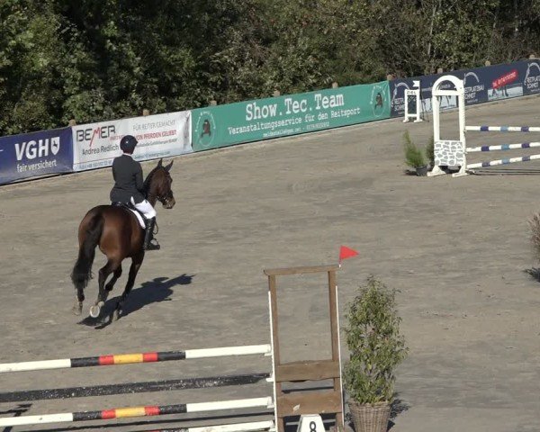 Reitturnier Scharnebeck 2024