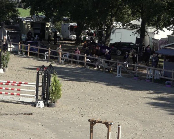 Reitturnier Scharnebeck 2024
