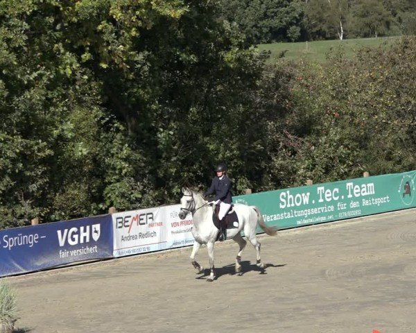 Reitturnier Scharnebeck 2024