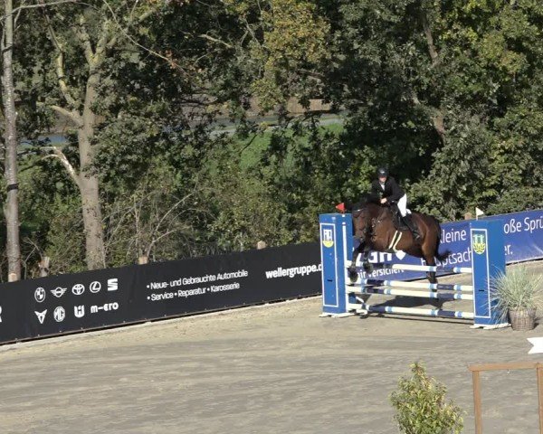 Reitturnier Scharnebeck 2024