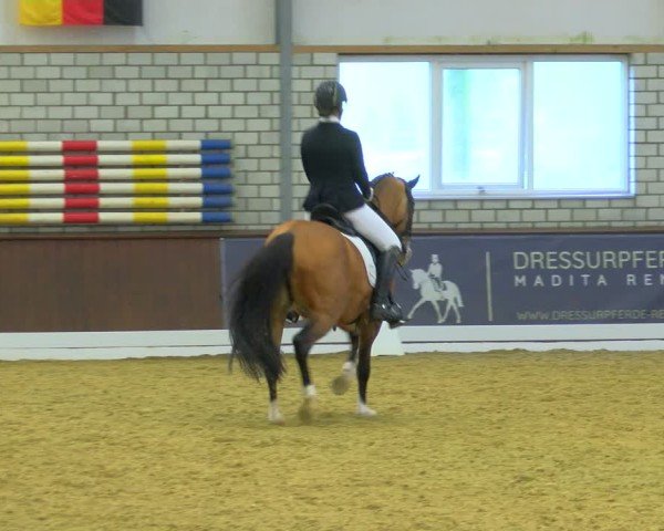 Reitturnier Bottrop-Kirchhellen 2024