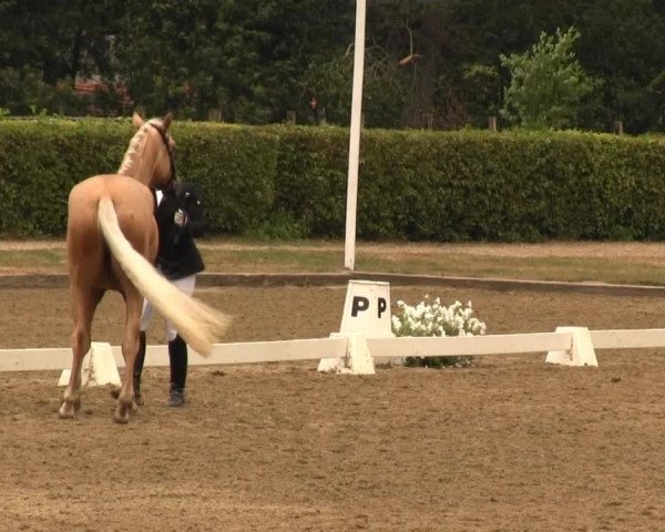 Westfalen-Woche 2013