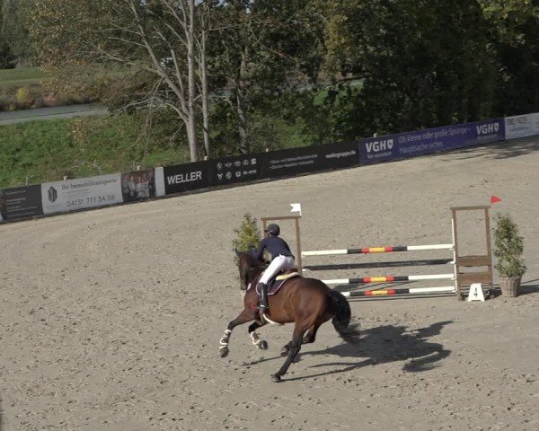 Reitturnier Scharnebeck 2024
