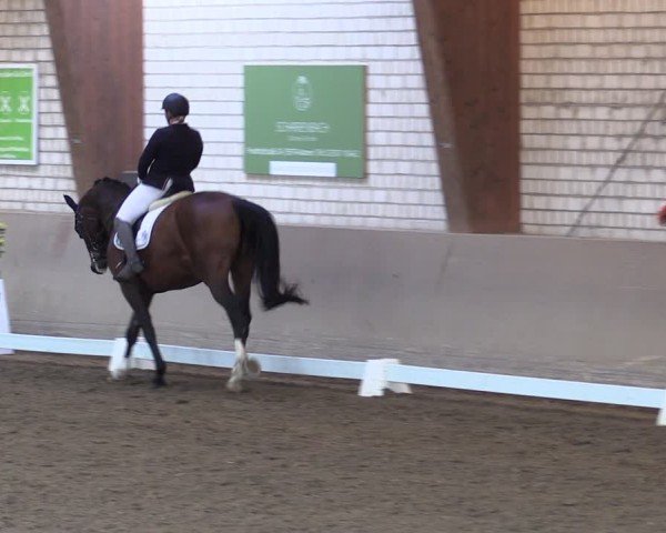 Reitturnier Kamen 2024