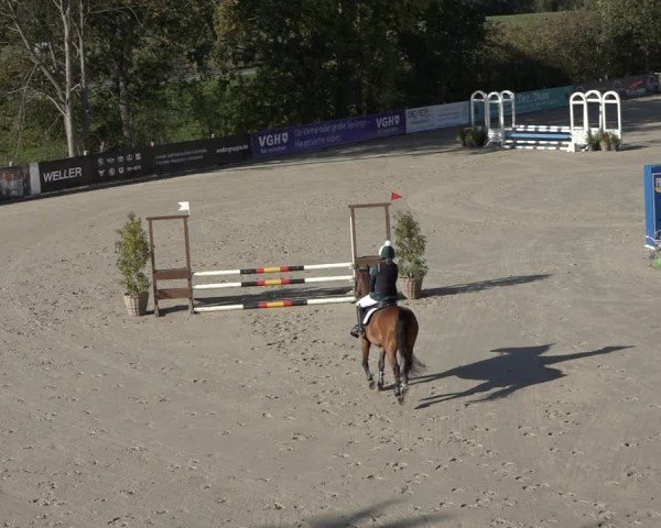 Reitturnier Scharnebeck 2024