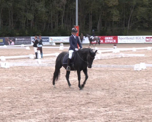 Reitturnier Igls 2024
