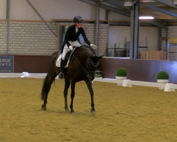 Reitturnier Bottrop-Kirchhellen 2024