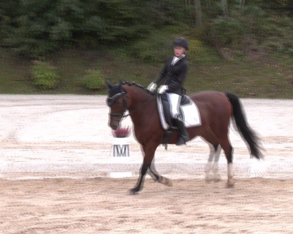 Reitturnier Igls 2024