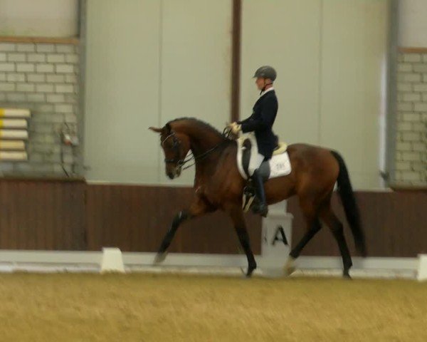 Reitturnier Bottrop-Kirchhellen 2024