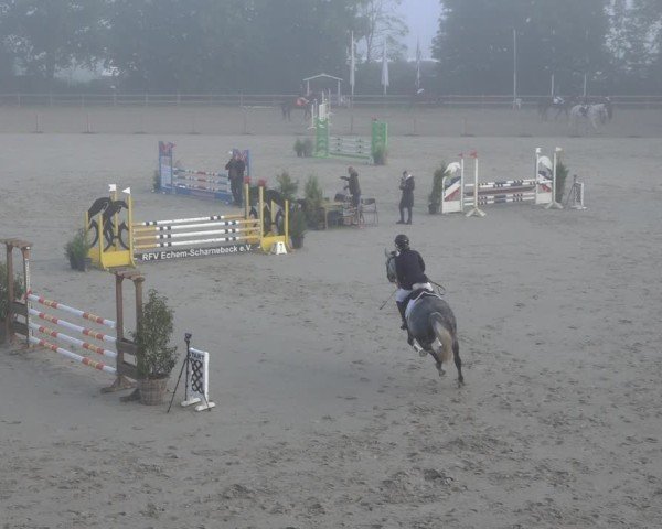 Reitturnier Scharnebeck 2024