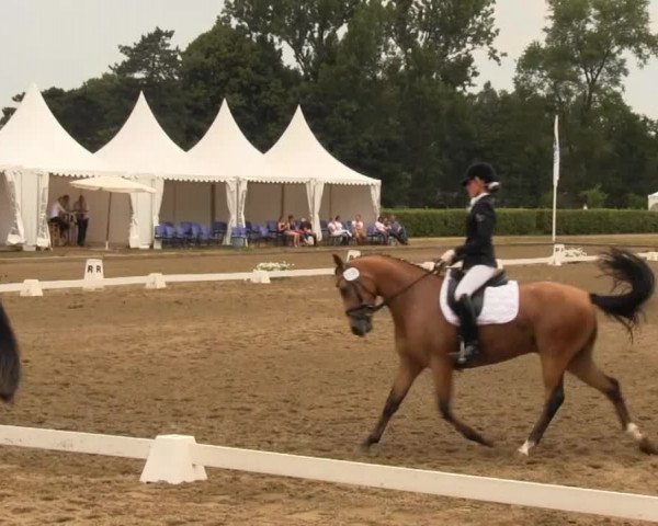 Equestrian Show Münster-Handorf 2013
