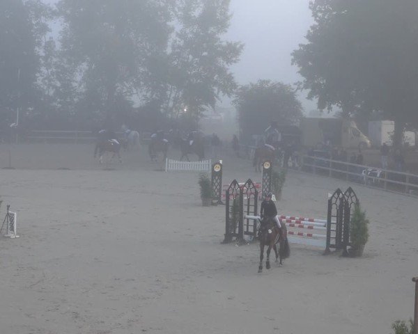 Reitturnier Scharnebeck 2024