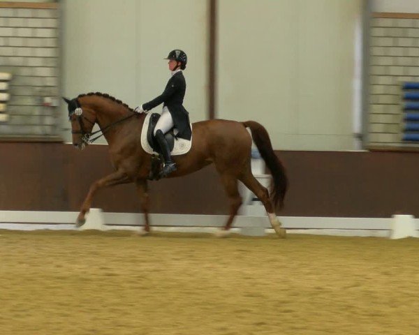 Reitturnier Bottrop-Kirchhellen 2024