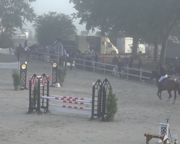Reitturnier Scharnebeck 2024