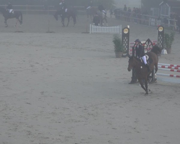 Reitturnier Scharnebeck 2024