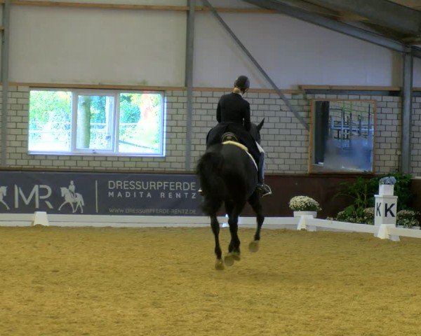 Reitturnier Bottrop-Kirchhellen 2024