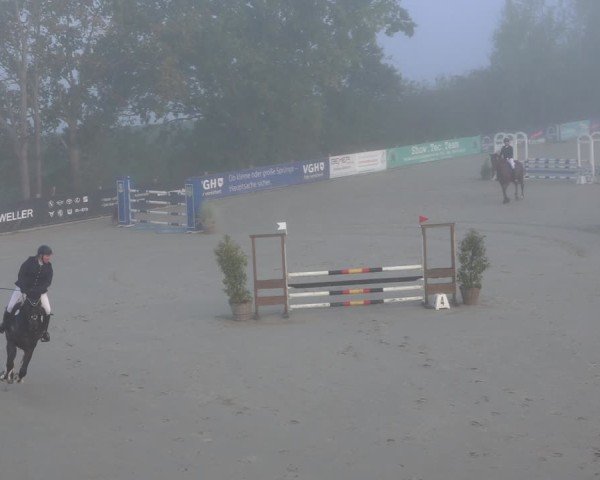 Reitturnier Scharnebeck 2024