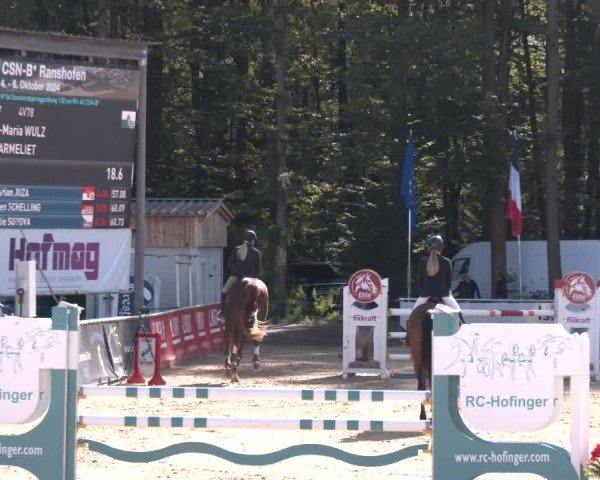 Reitturnier Ranshofen - Braunau am Inn 2024