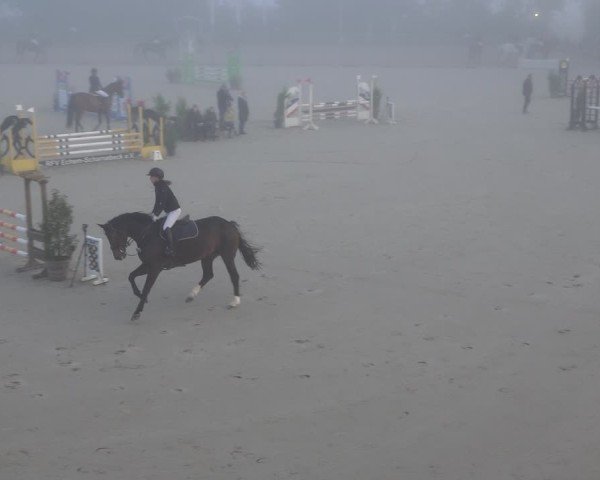 Reitturnier Scharnebeck 2024
