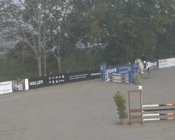 Reitturnier Scharnebeck 2024