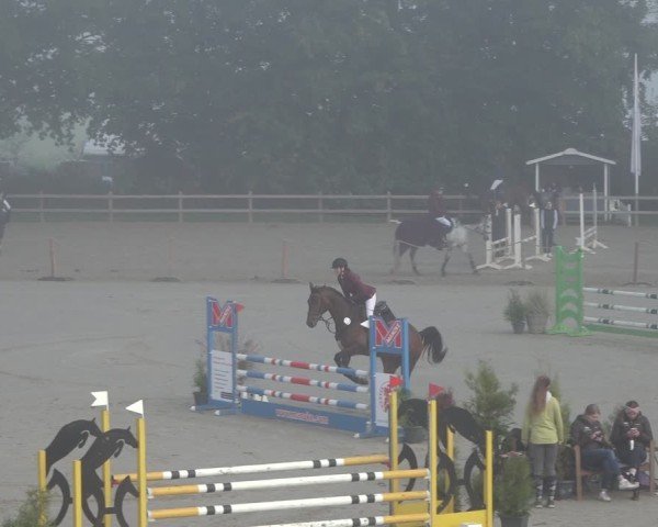 Reitturnier Scharnebeck 2024