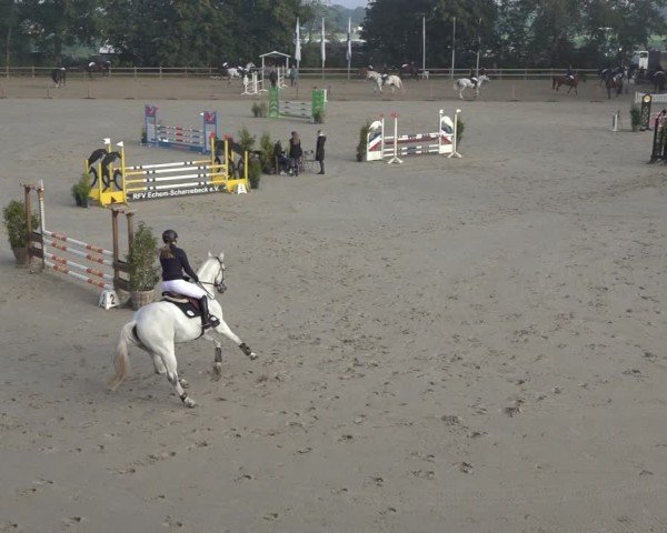 Reitturnier Scharnebeck 2024