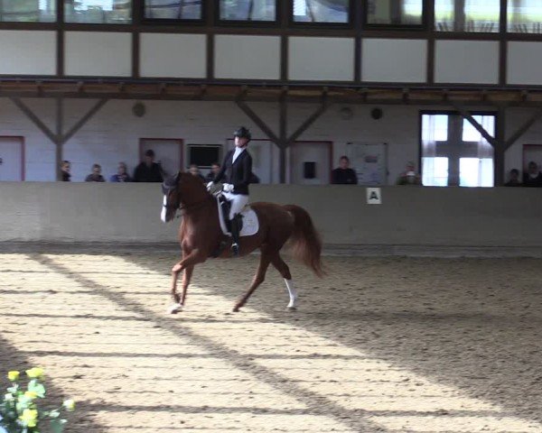 Reitturnier Kamen 2024