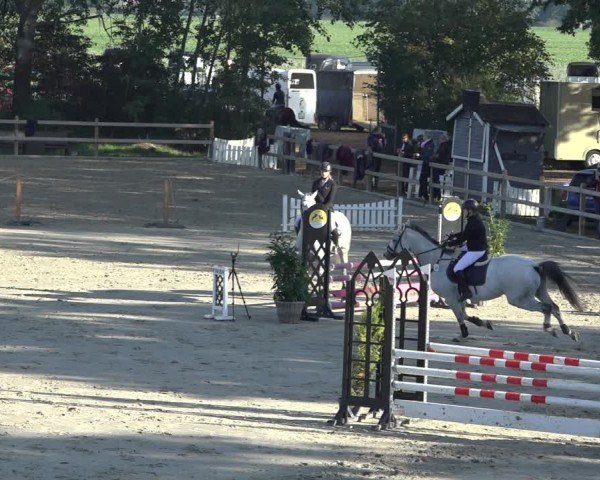 Reitturnier Scharnebeck 2024