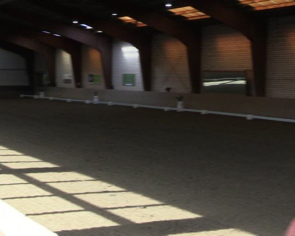 Reitturnier Kamen 2024