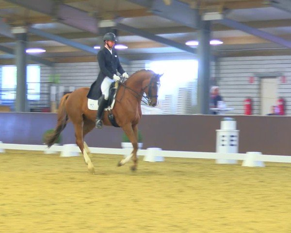 Reitturnier Bottrop-Kirchhellen 2024